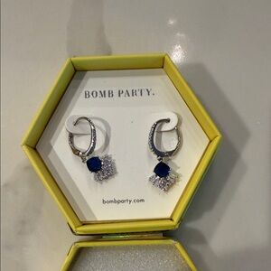 RBP3587 Silver and Blue Earrings